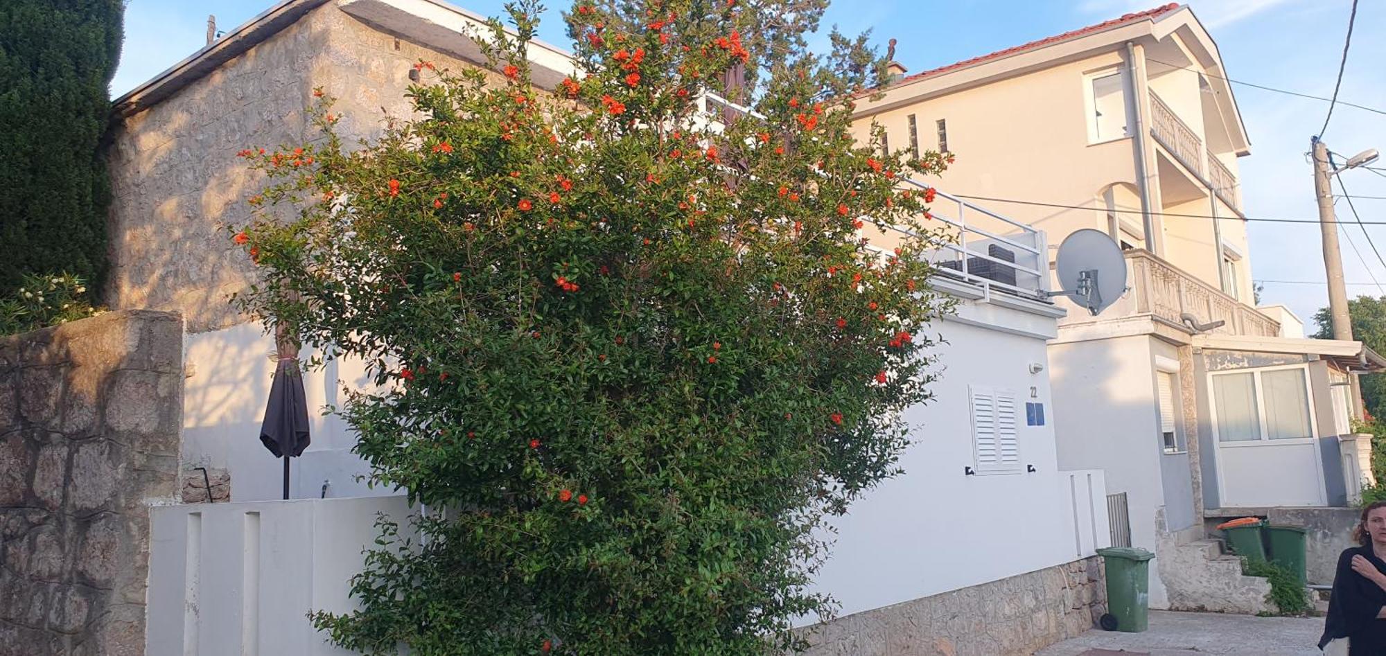 Apartmani Sara Marija Karlobag Exterior foto