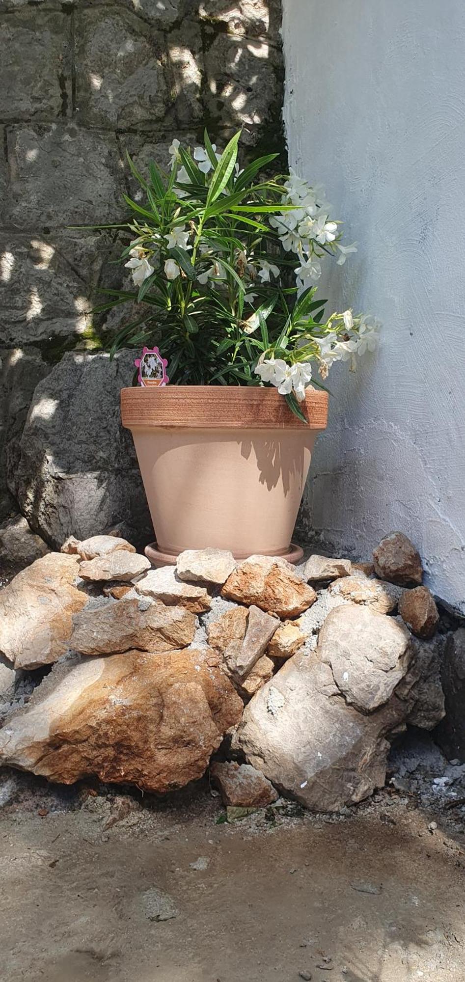 Apartmani Sara Marija Karlobag Exterior foto